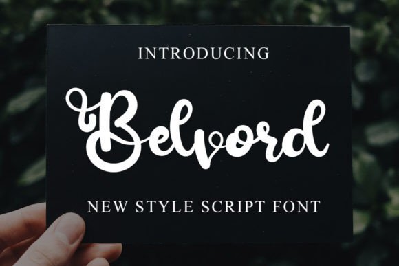Belvord: A Modern Script Font for Editorial Mood and Content Structure