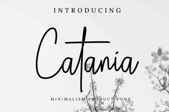 Choosing Catania, a Script Font for a Calmer Reading Experience