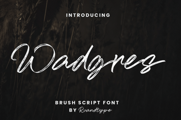 Wadgres: A Modern Brush Script Font for Web Design